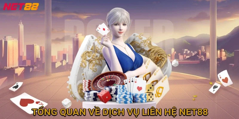 tong-quan-ve-dich-vu-lien-he-net88