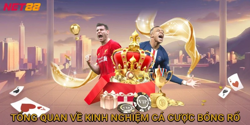 tong-quan-ve-kinh-nghiem-ca-cuoc-bong-ro